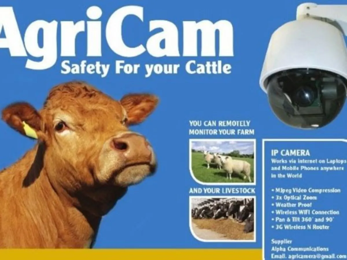 Calving, lambing Camera - Image 2