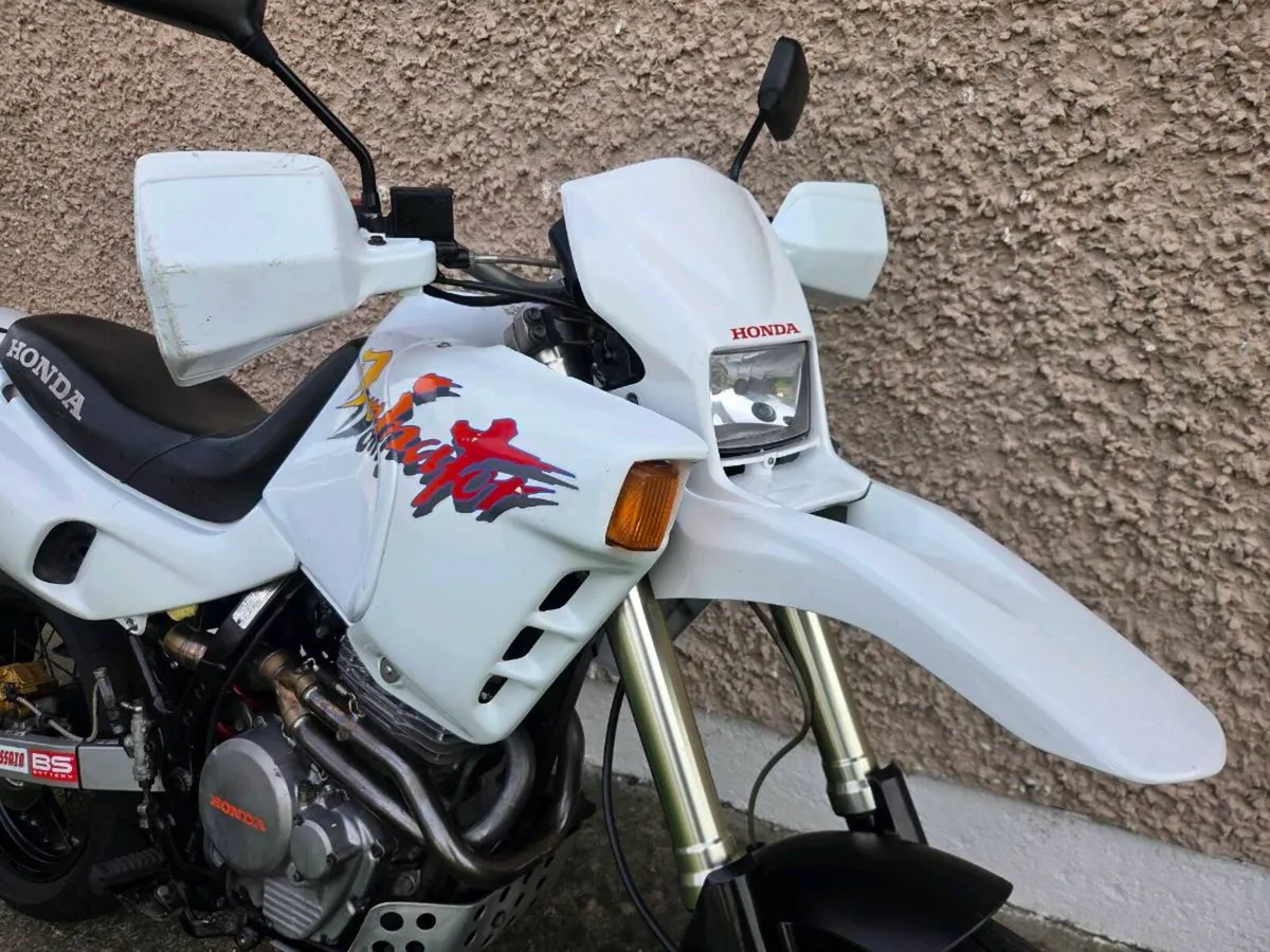 Honda Dominator 650 Supermoto - Image 2