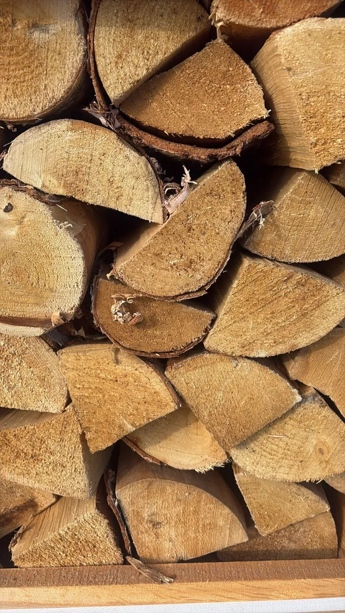 Kiln dried firewood - Image 4