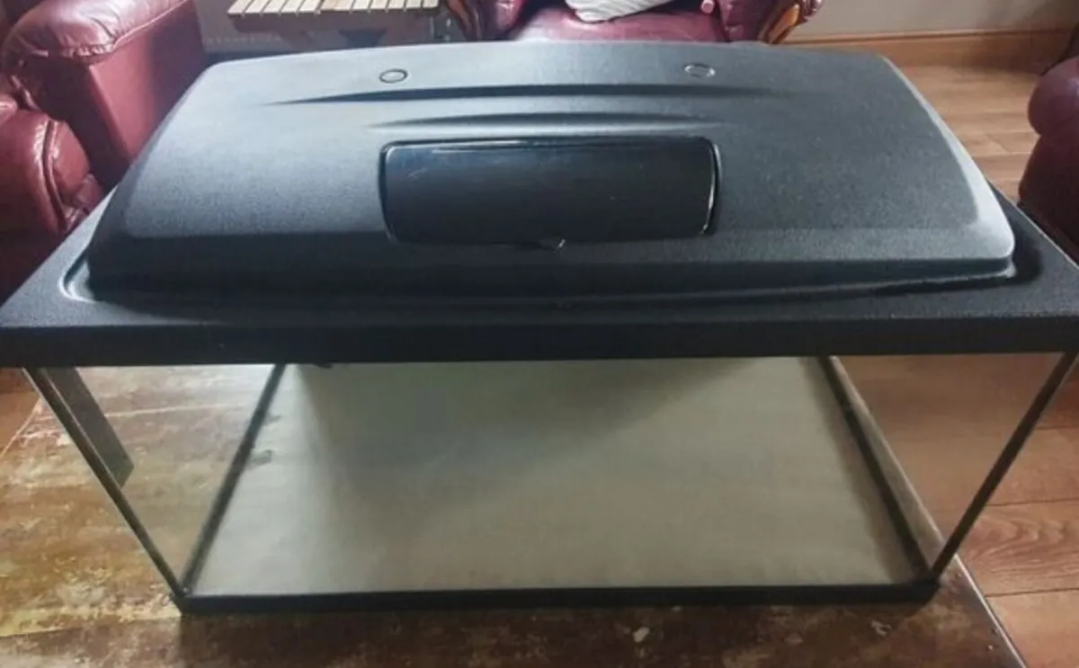 Aquael 54l Fish Tank - Image 4
