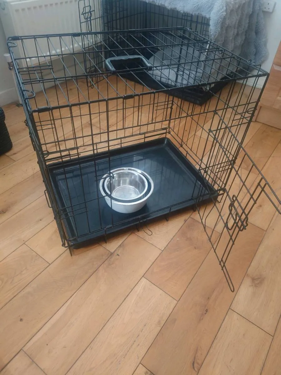 Dog Cages - Image 2