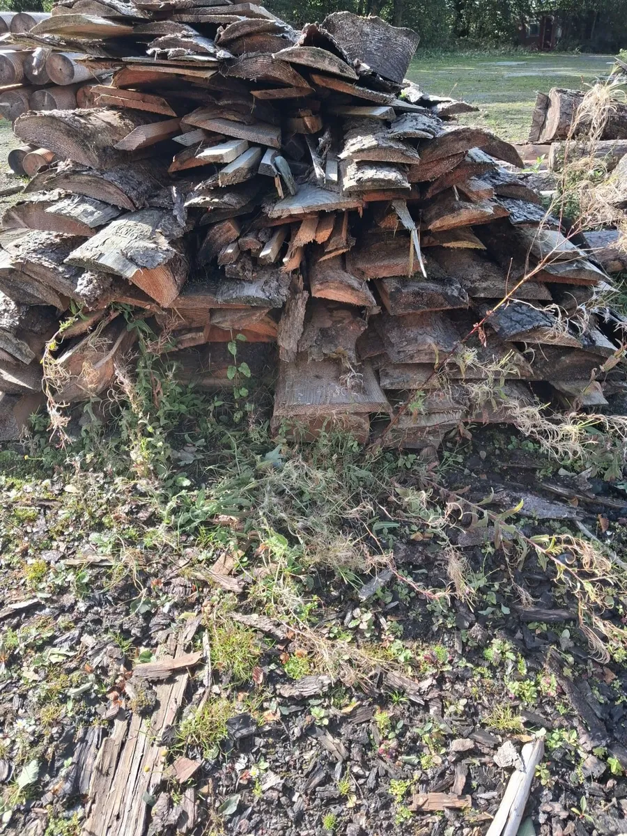 Firewood - Image 2
