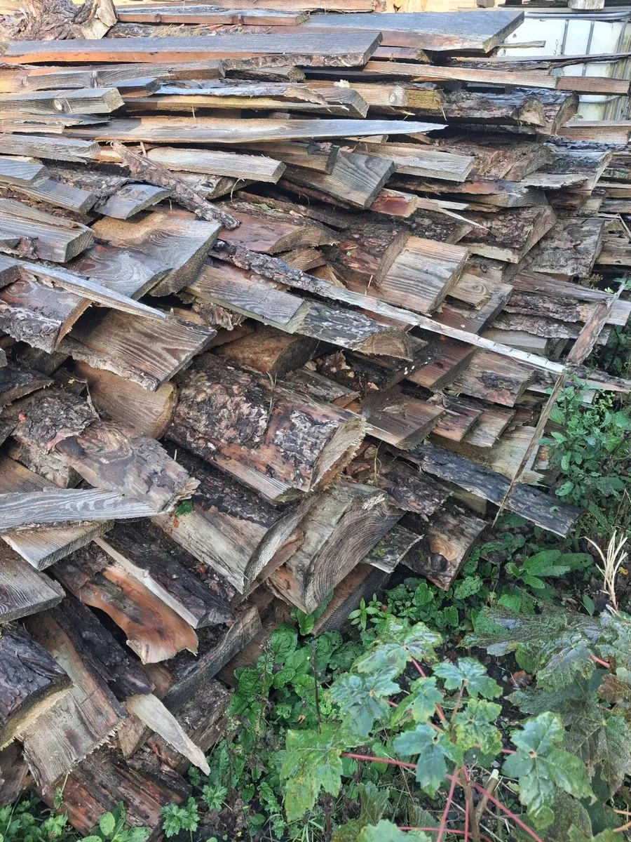 Firewood - Image 3