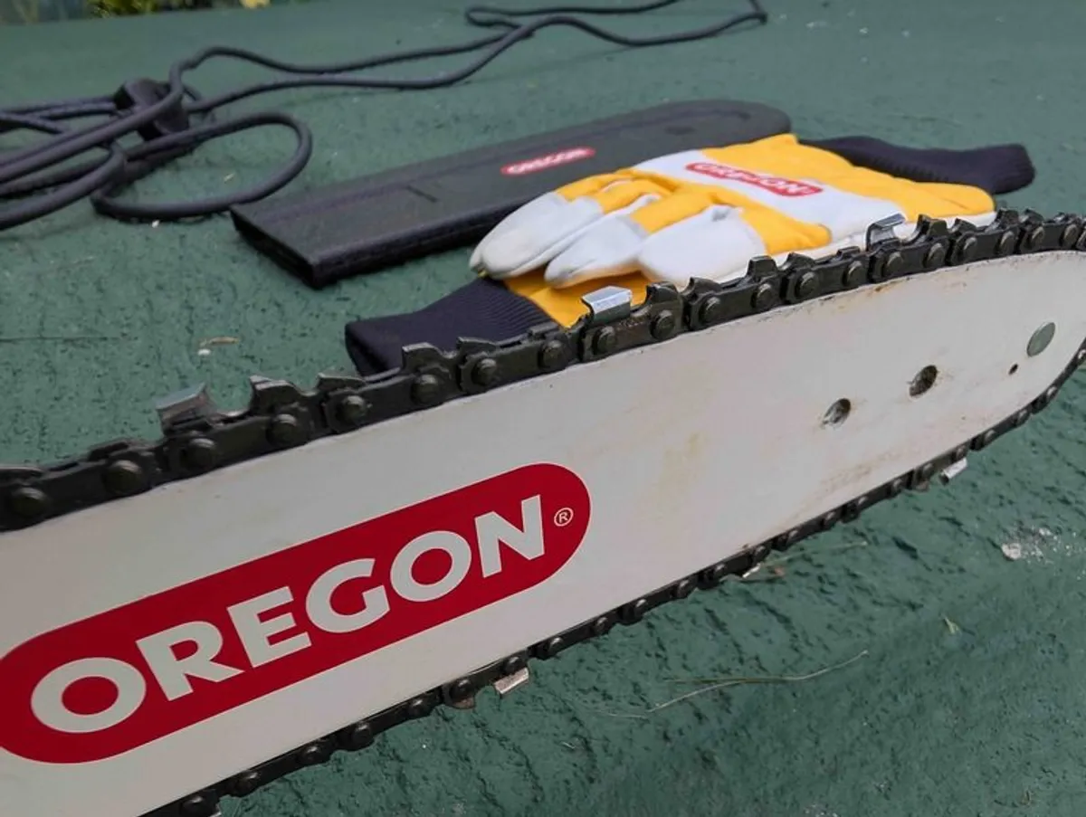 Oregon Electric Chainsaw (excellent condition) - Image 3