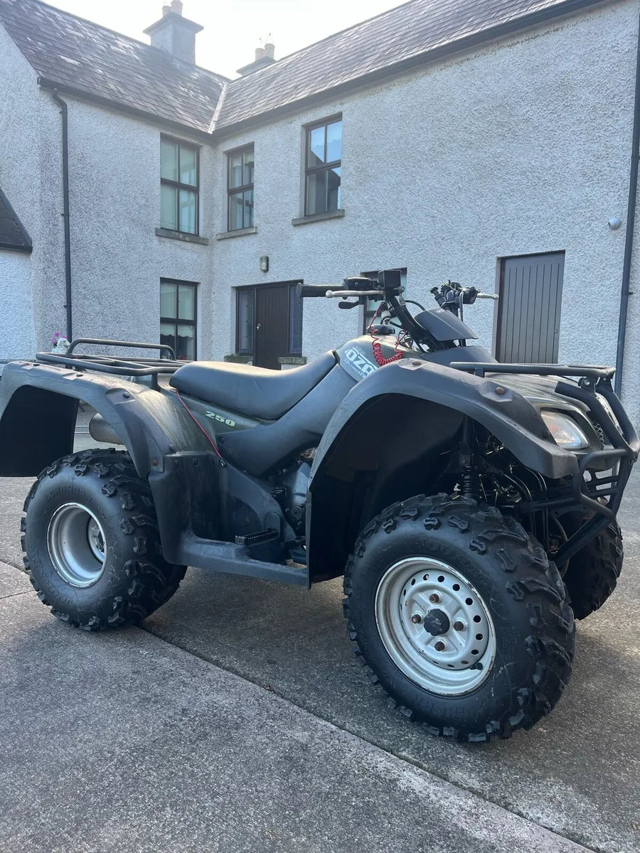 Suzuki 250 ozark - Image 2