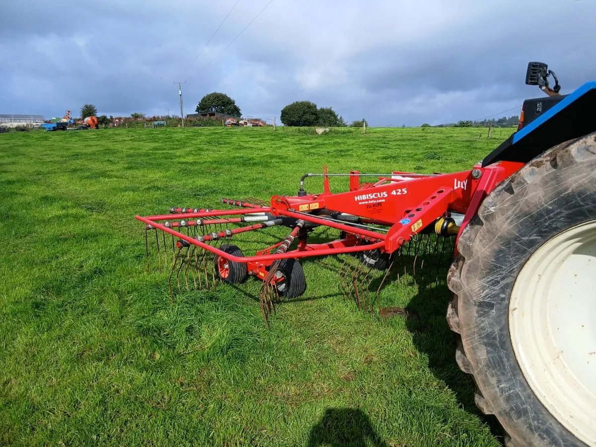 Lely Hibiscus 425 Rake - Image 2