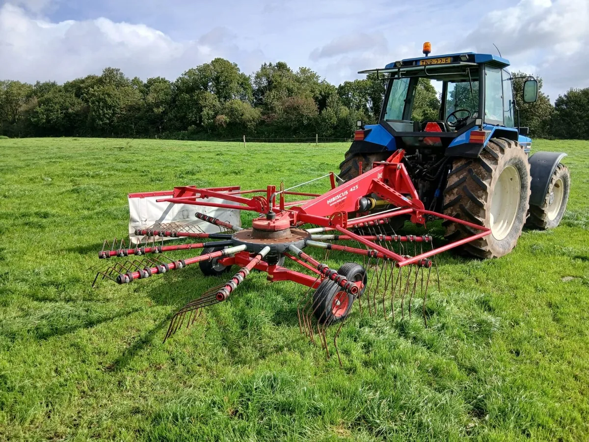 Lely Hibiscus 425 Rake - Image 3