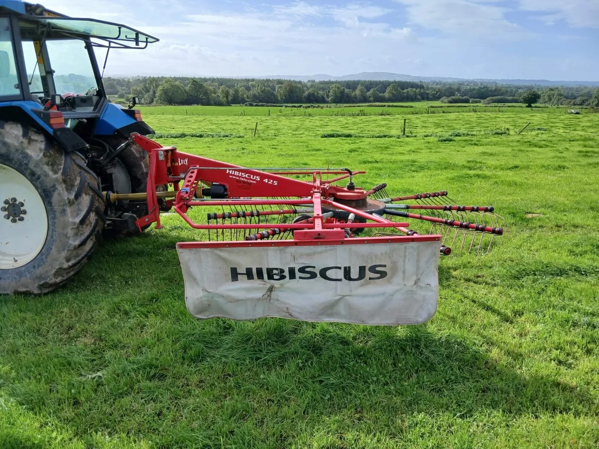 Lely Hibiscus 425 Rake - Image 4