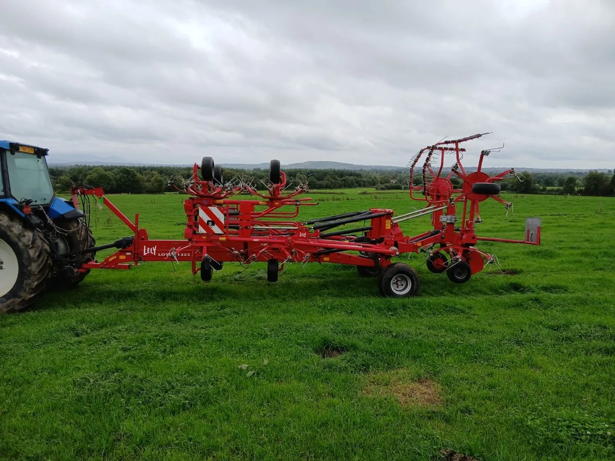 Lely Lotus 1325 tedder. 12 rotor - Image 2