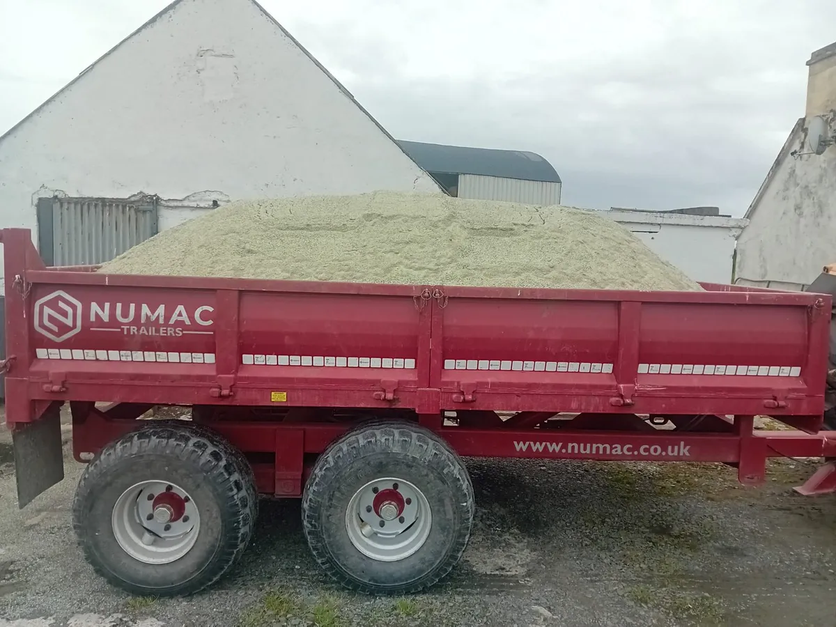 Sand/ gravel - Image 2
