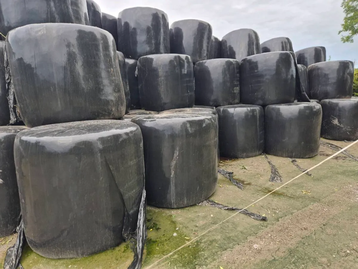 Baled silage