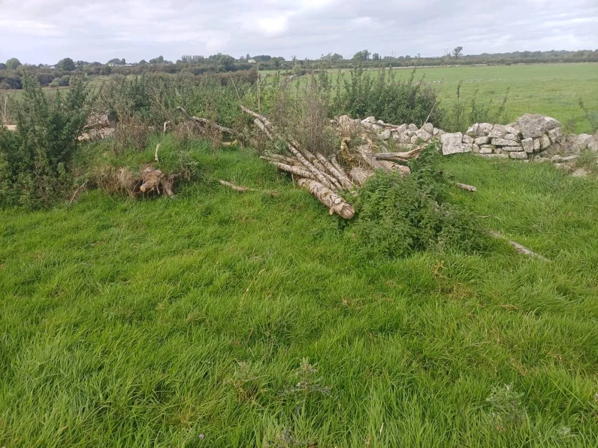 Timber - Image 1