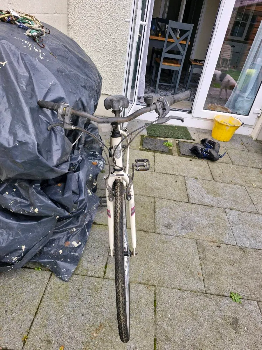 Womans Bike - Image 2