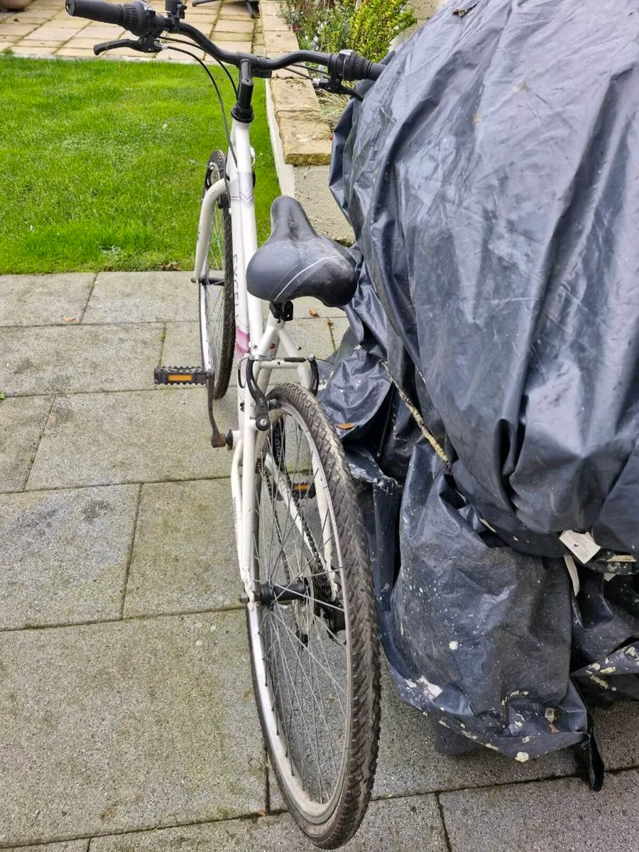 Womans Bike - Image 3