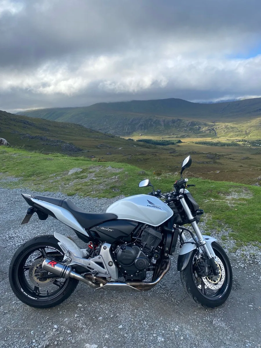 Honda Hornet 600 2011 - Image 1