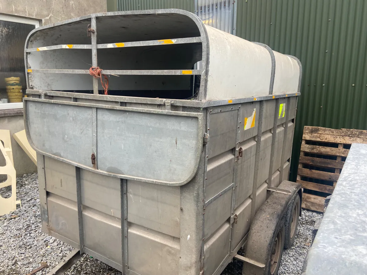 8x4 cow box - Image 4