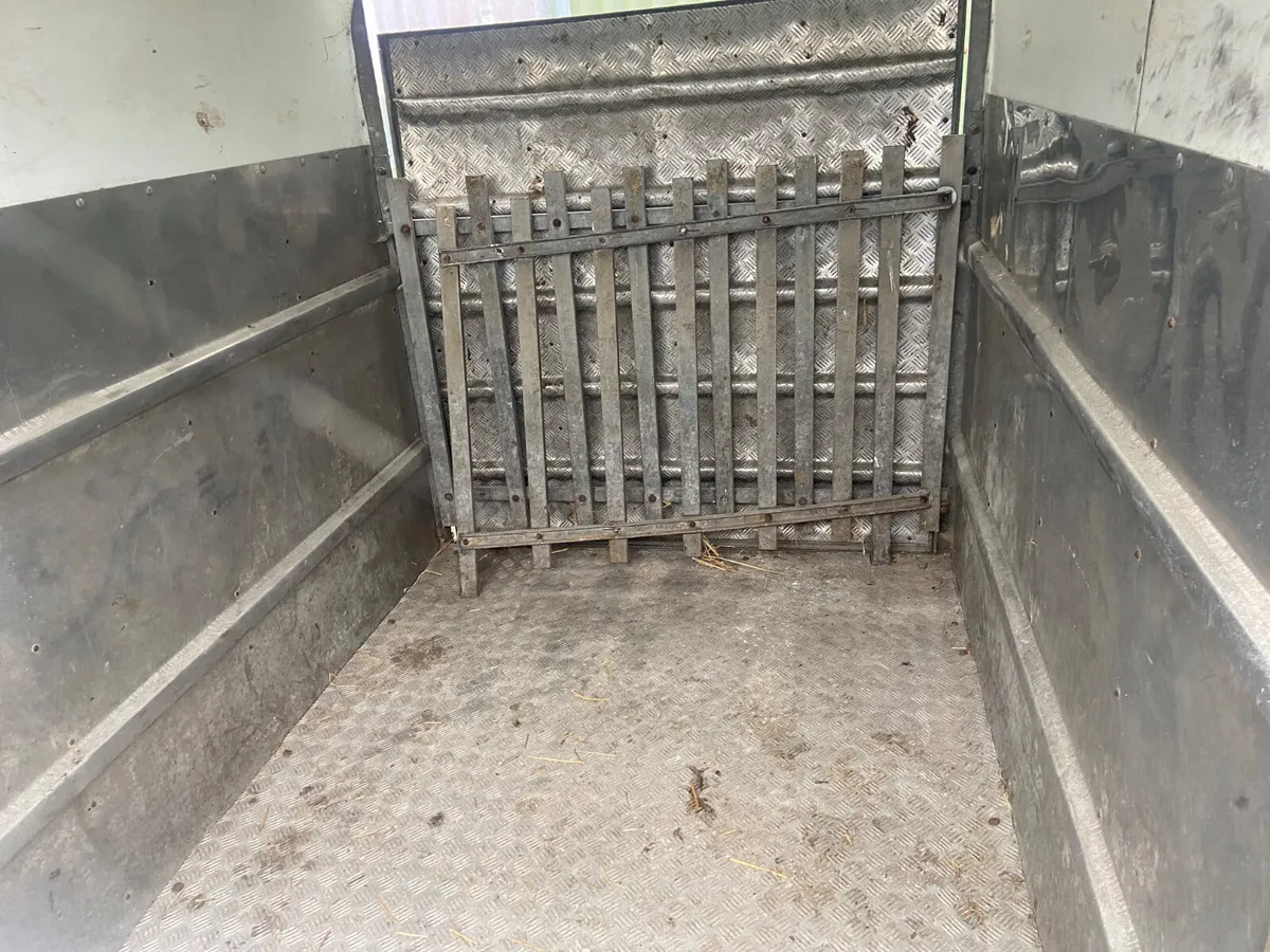 8x4 cow box - Image 3