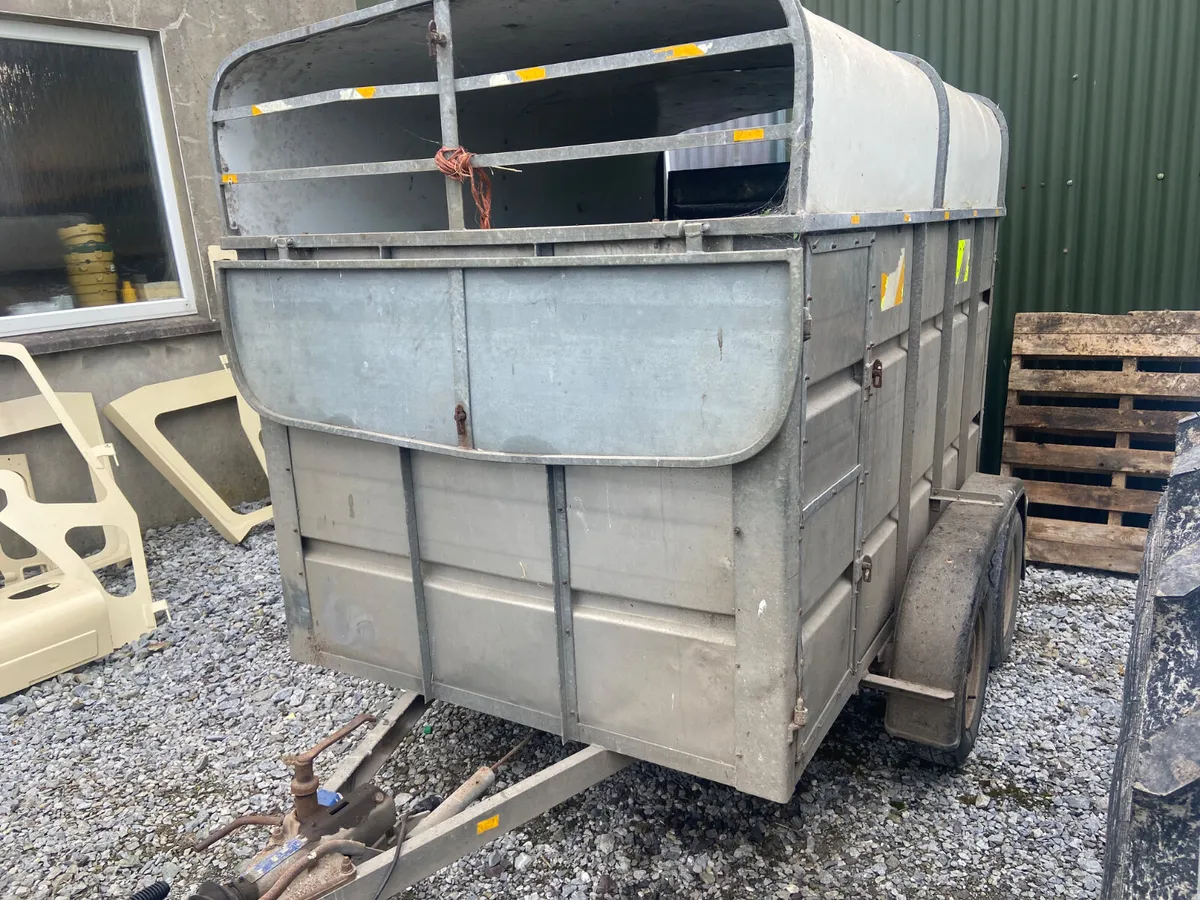 8x4 cow box - Image 2