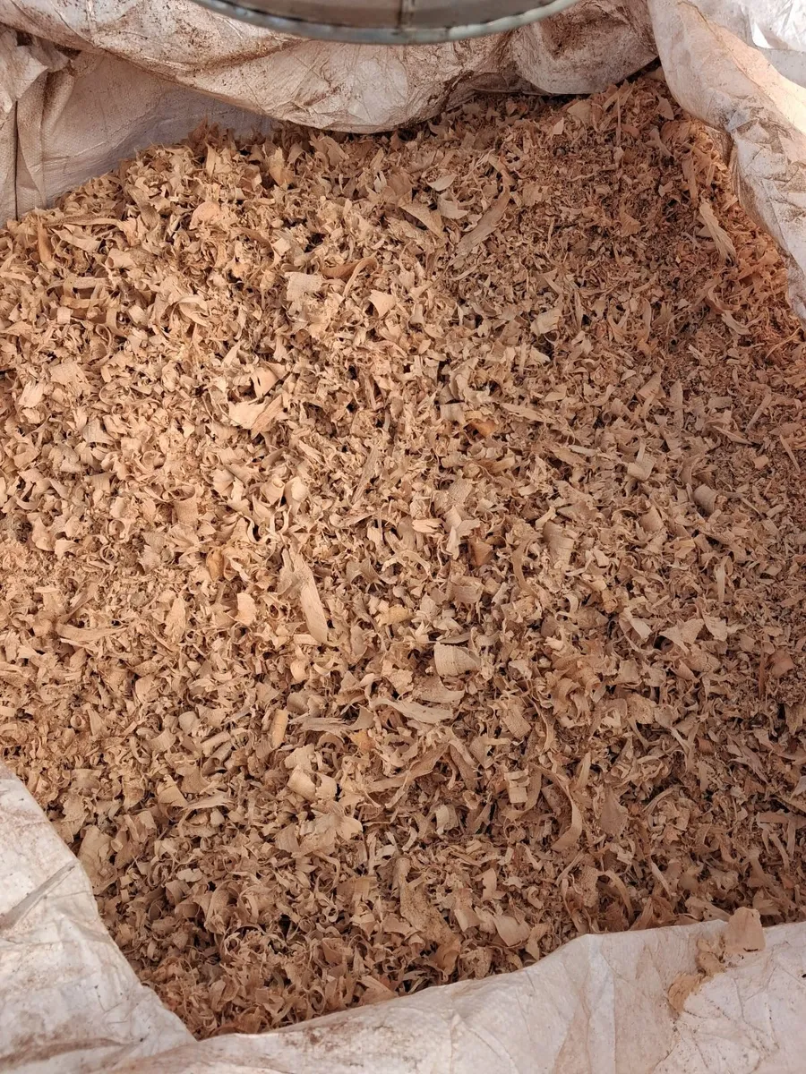 Wood Shavings - Image 1