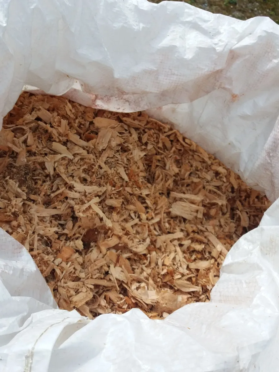 Wood Shavings - Image 2