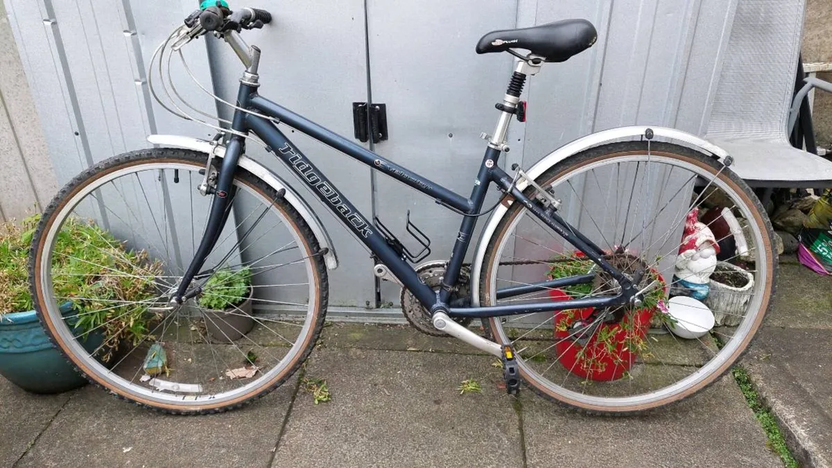Ridgeback Velocity Trekking Bike - Image 2