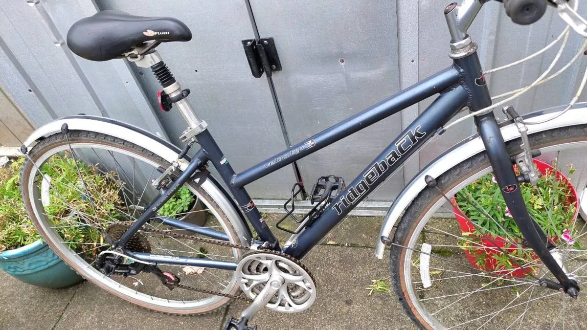 Ridgeback Velocity Trekking Bike - Image 3