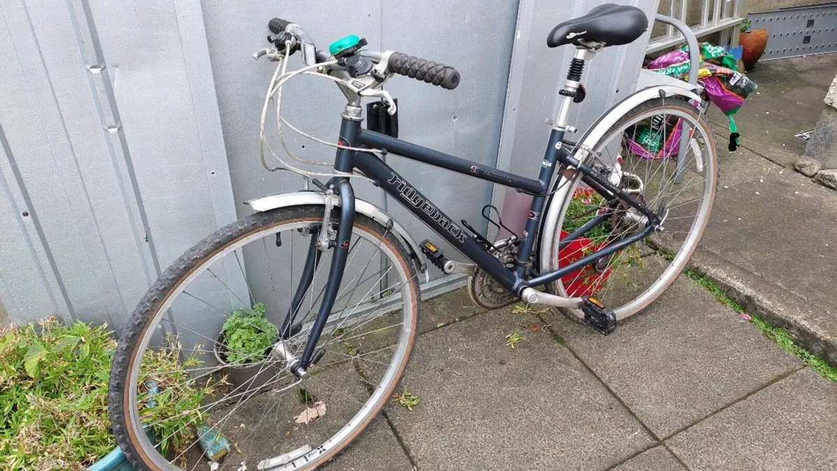 Ridgeback Velocity Trekking Bike - Image 4