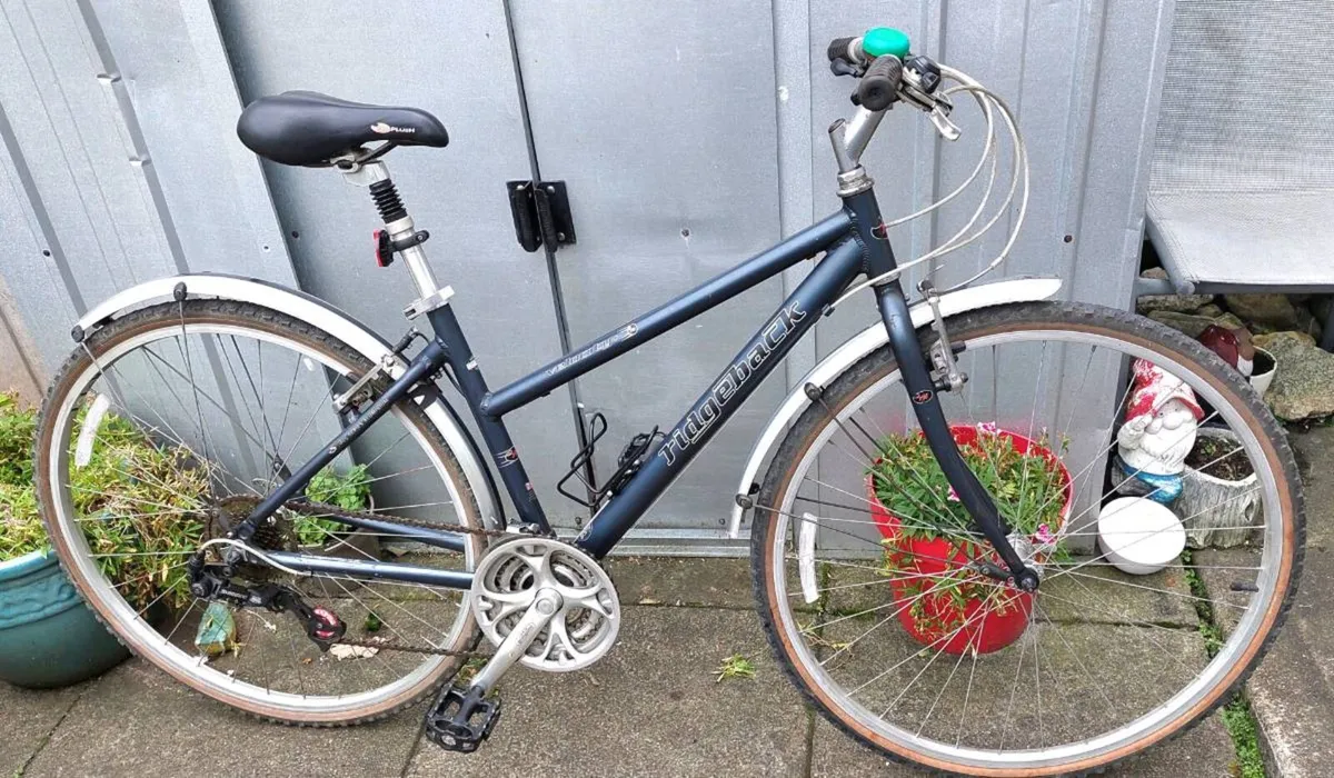 Ridgeback Velocity Trekking Bike - Image 1
