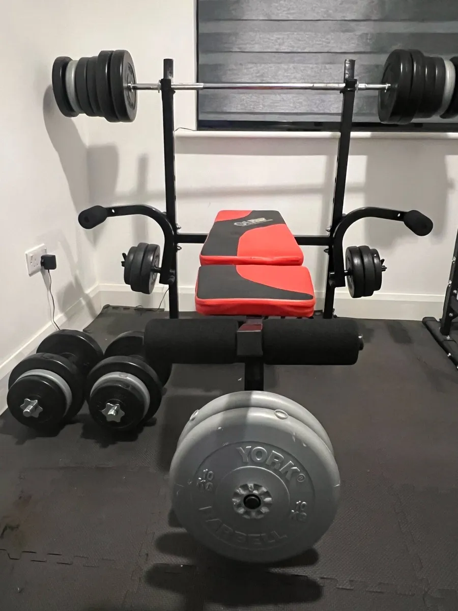 Home Gym Weight Bench and Weights - Image 2