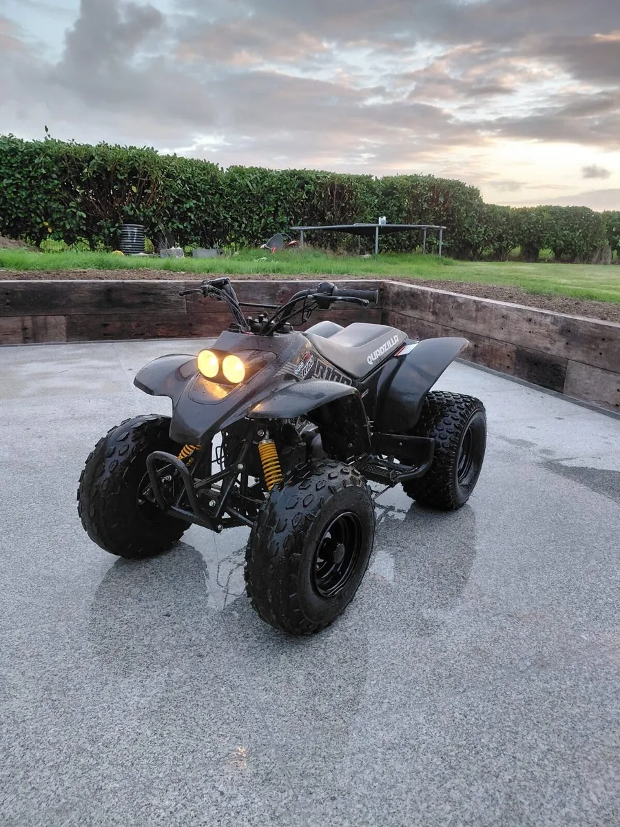 Quadzilla R100 - Image 2