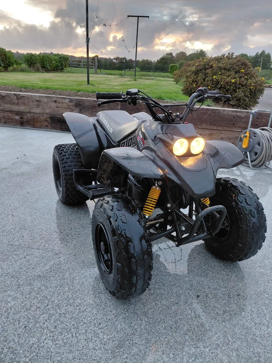 Quadzilla R100 - Image 1
