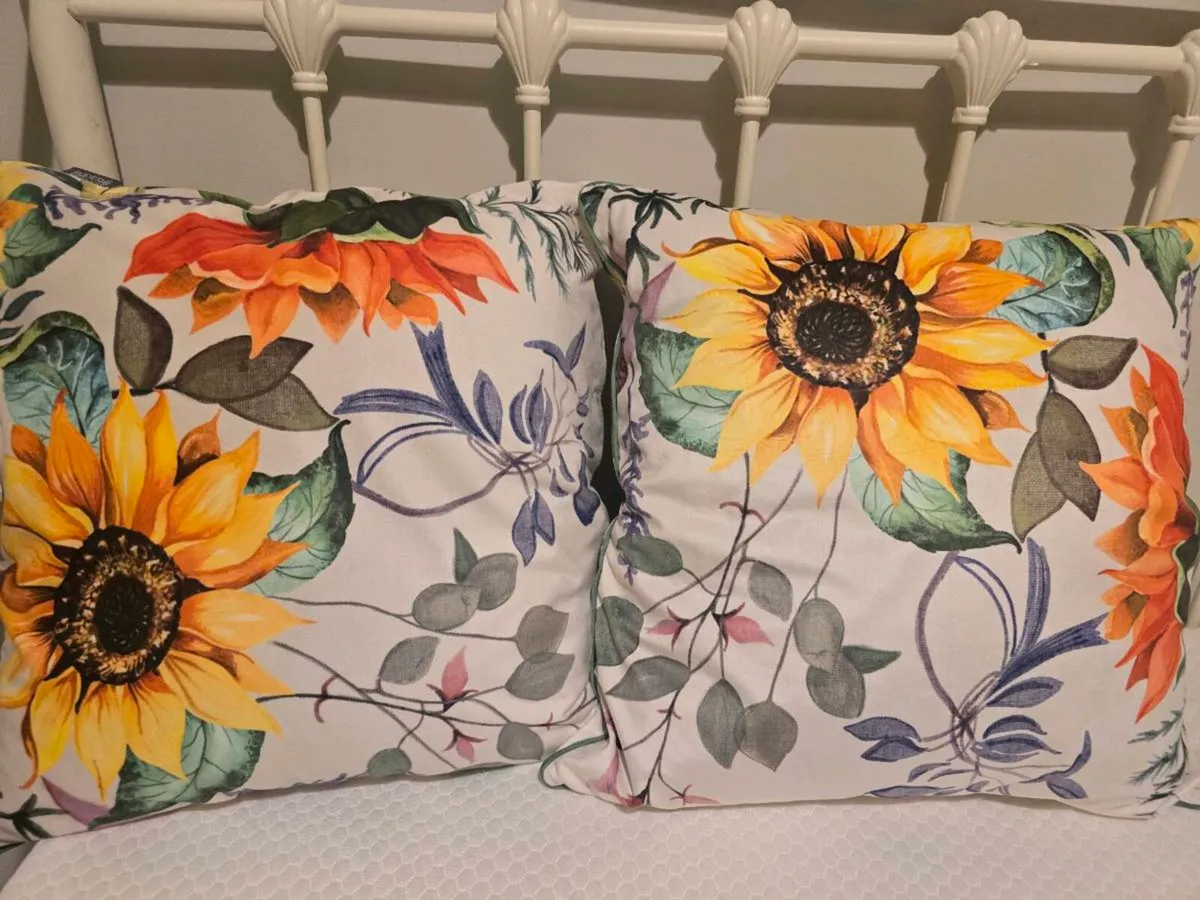 50 x 50 cushions - Image 2