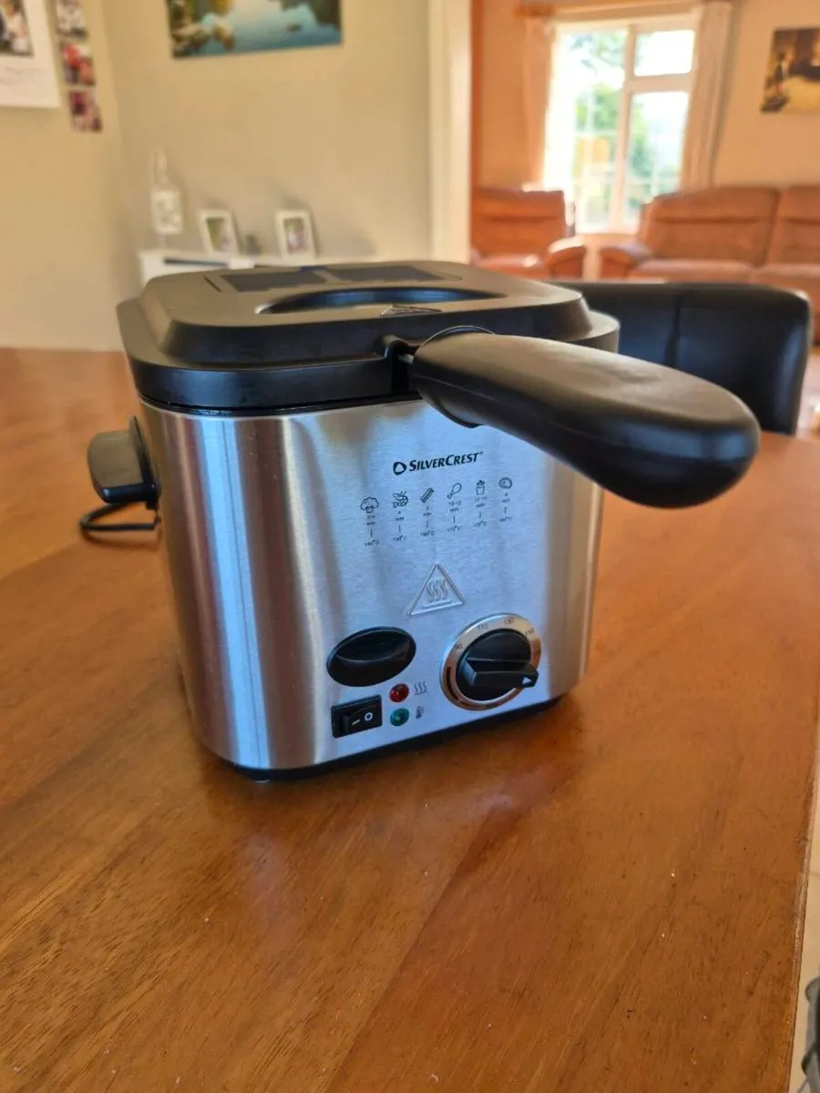 Fryer - Image 1