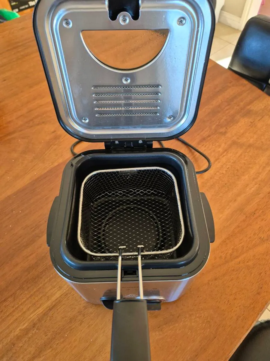 Fryer - Image 2