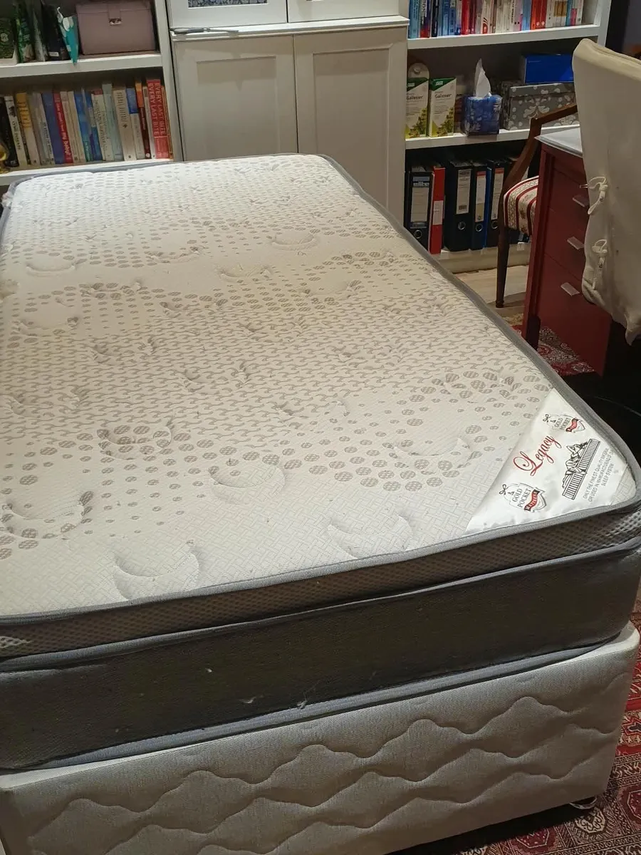 Single divan bed with pristine clean mattress - Image 1