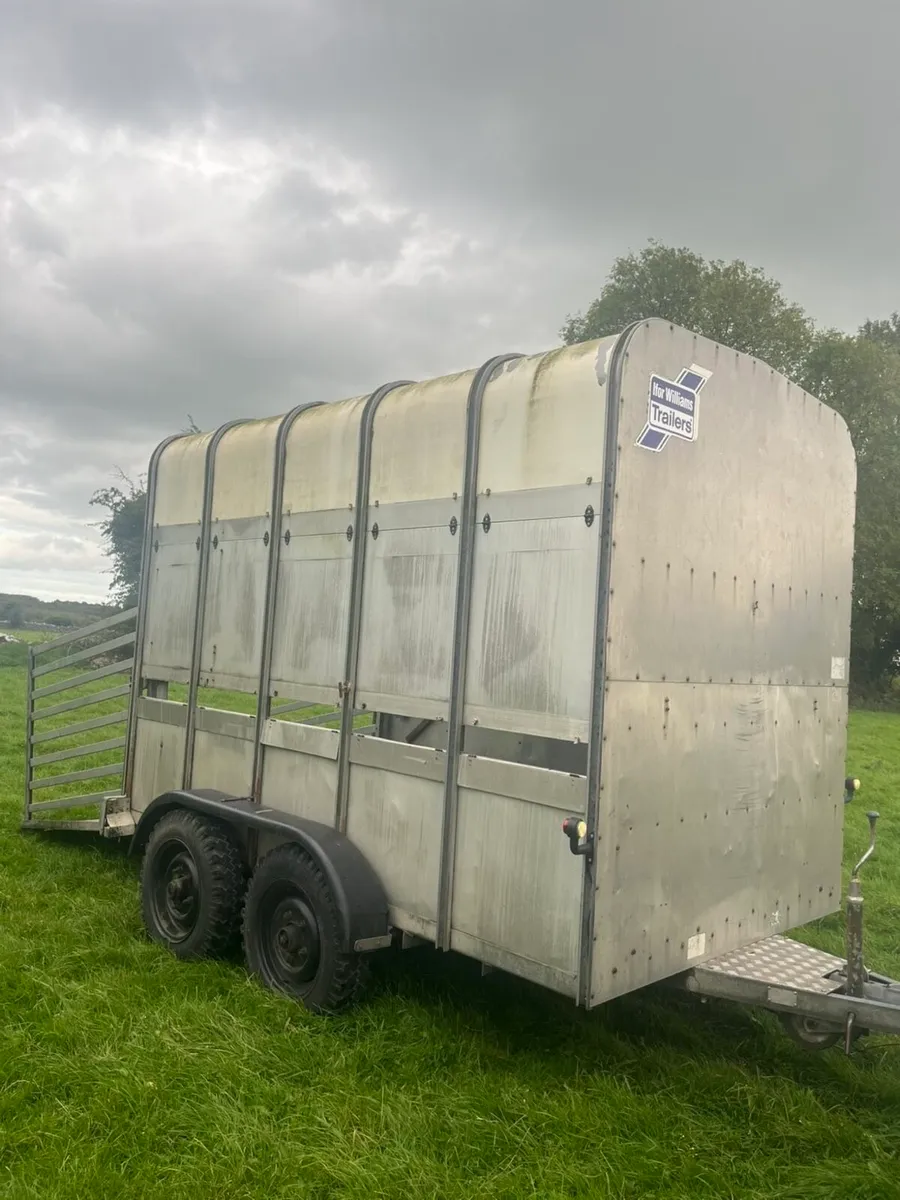 Ifor Williams 10x6 - Image 1