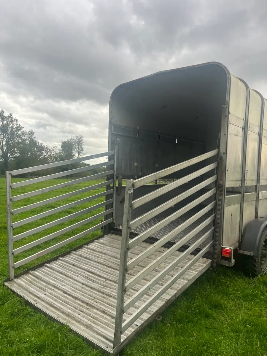 Ifor Williams 10x6 - Image 2