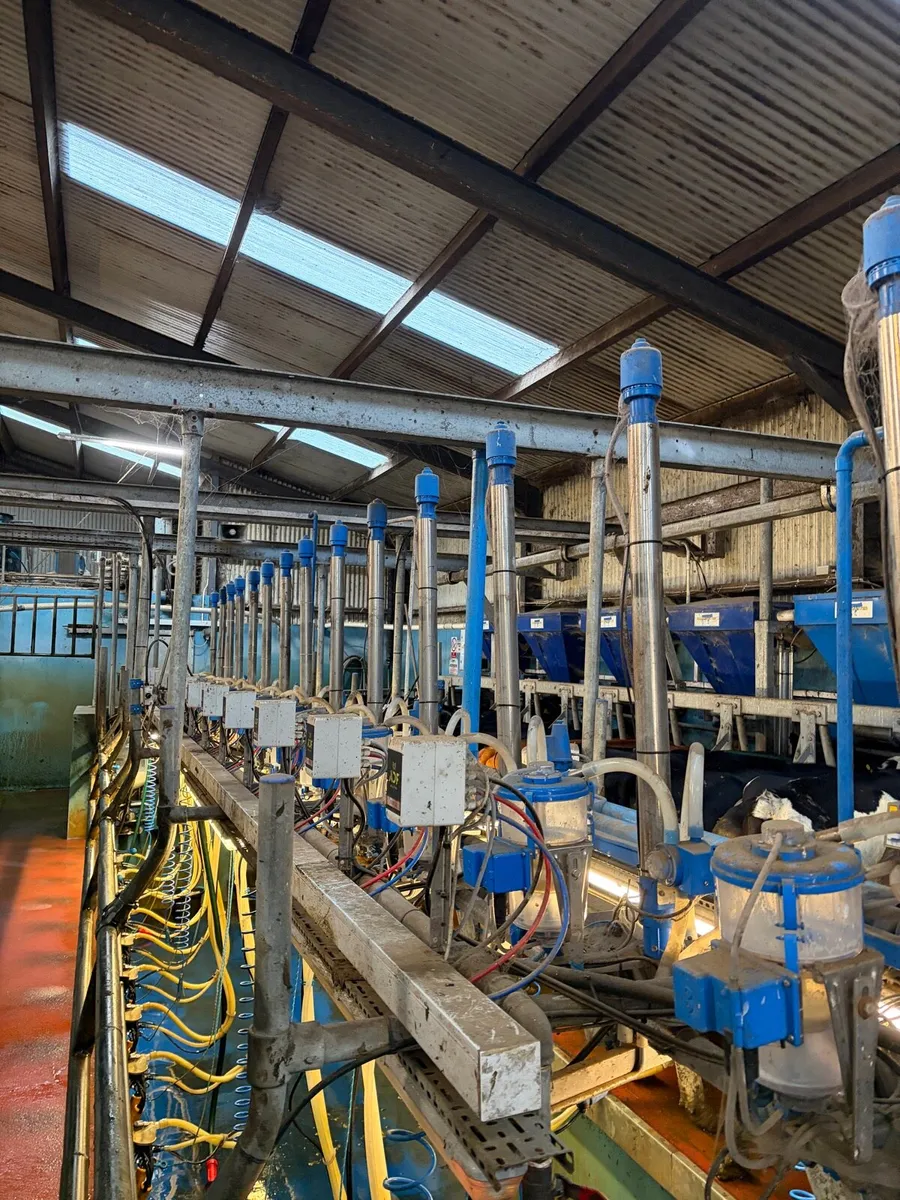 Dairymaster 14 unit parlour - Image 3