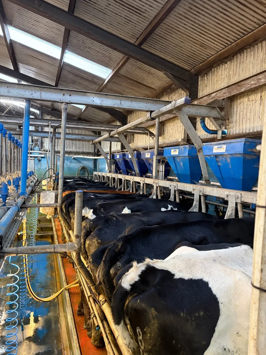 Dairymaster 14 unit parlour - Image 4