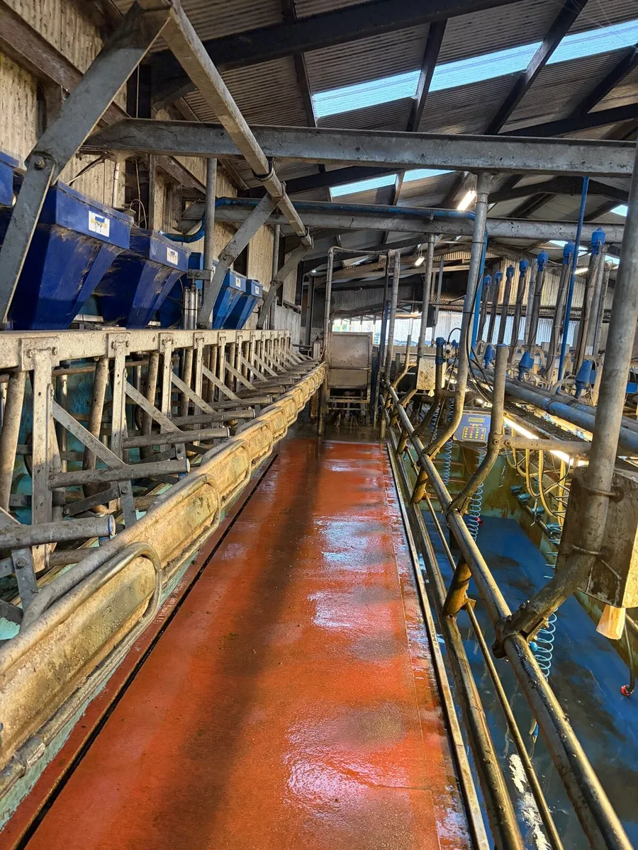 Dairymaster 14 unit parlour - Image 2