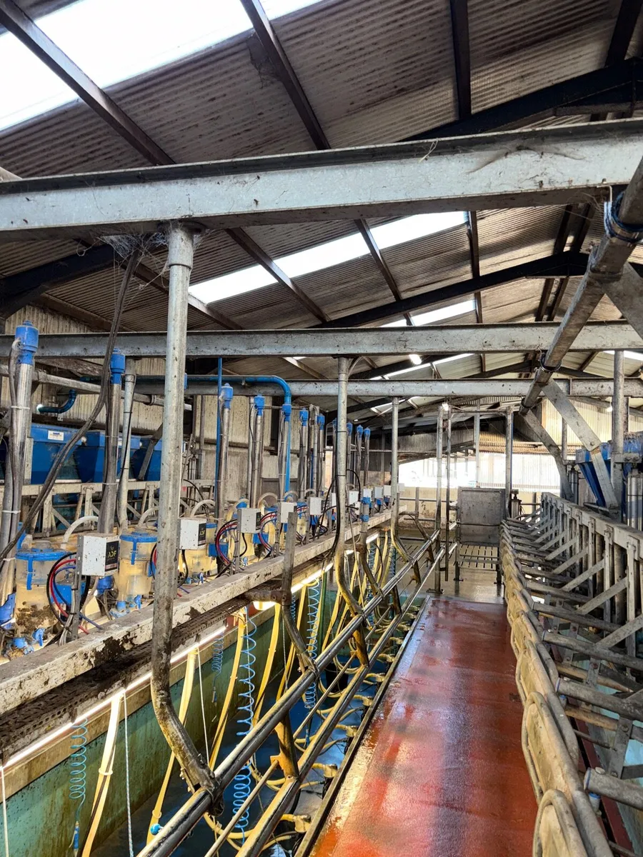 Dairymaster 14 unit parlour - Image 1