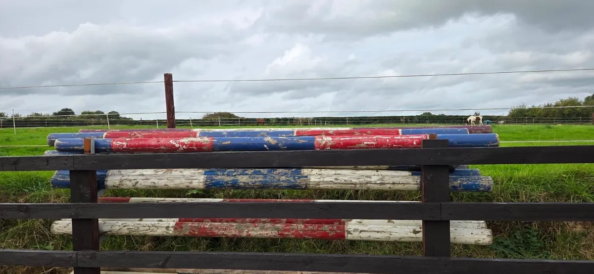 Jumping poles - Image 1