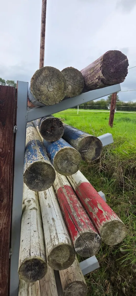 Jumping poles - Image 2