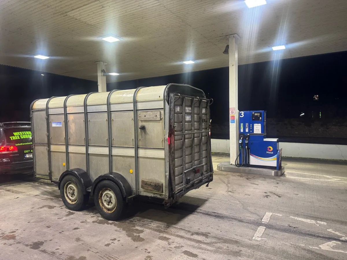 Ifor Williams Cattle trailer - Image 3