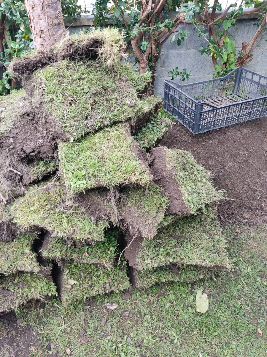 Free Top Soil Ennis Co.Clare - Image 3