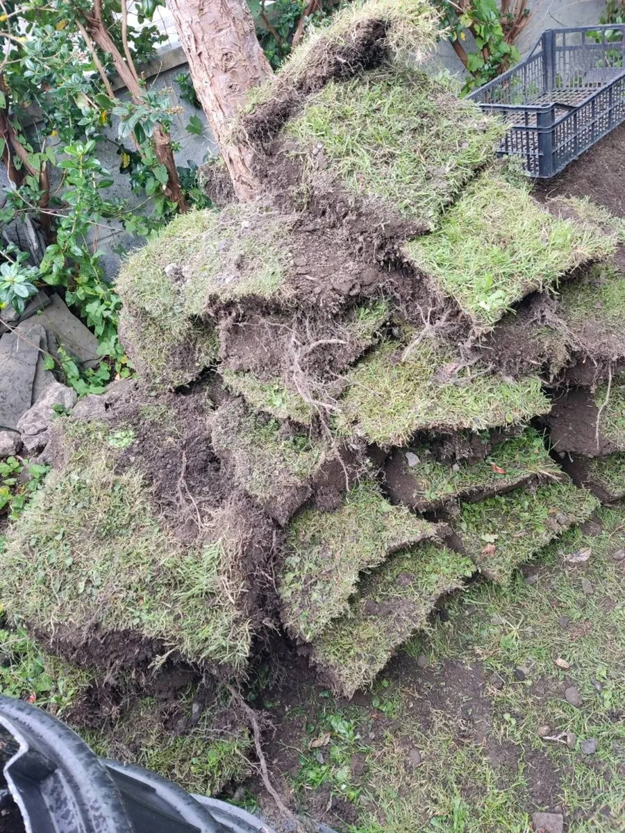 Free Top Soil Ennis Co.Clare - Image 4