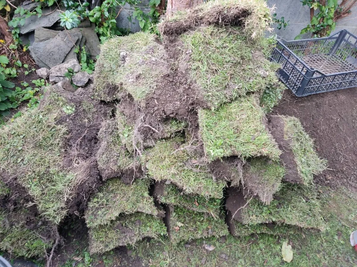 Free Top Soil Ennis Co.Clare - Image 2