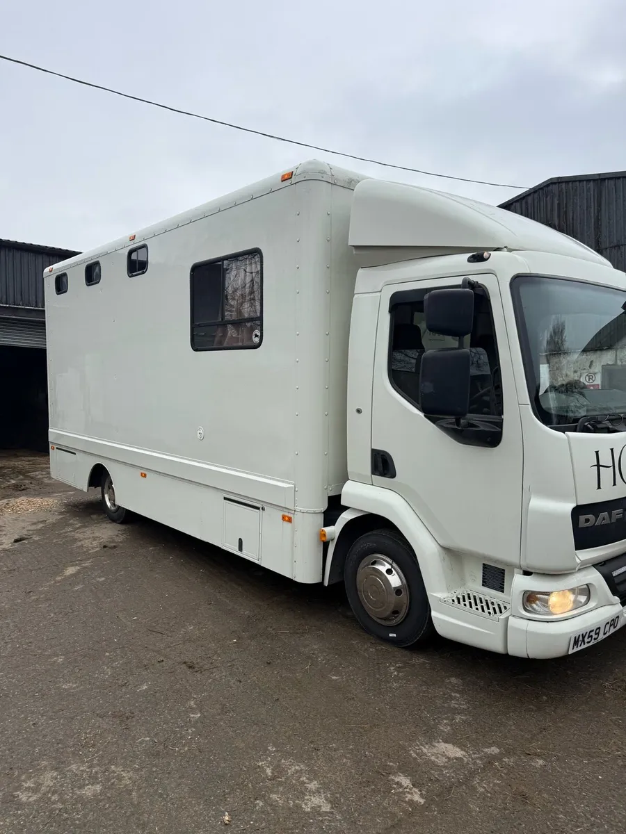 DAF Lf Horse Truck