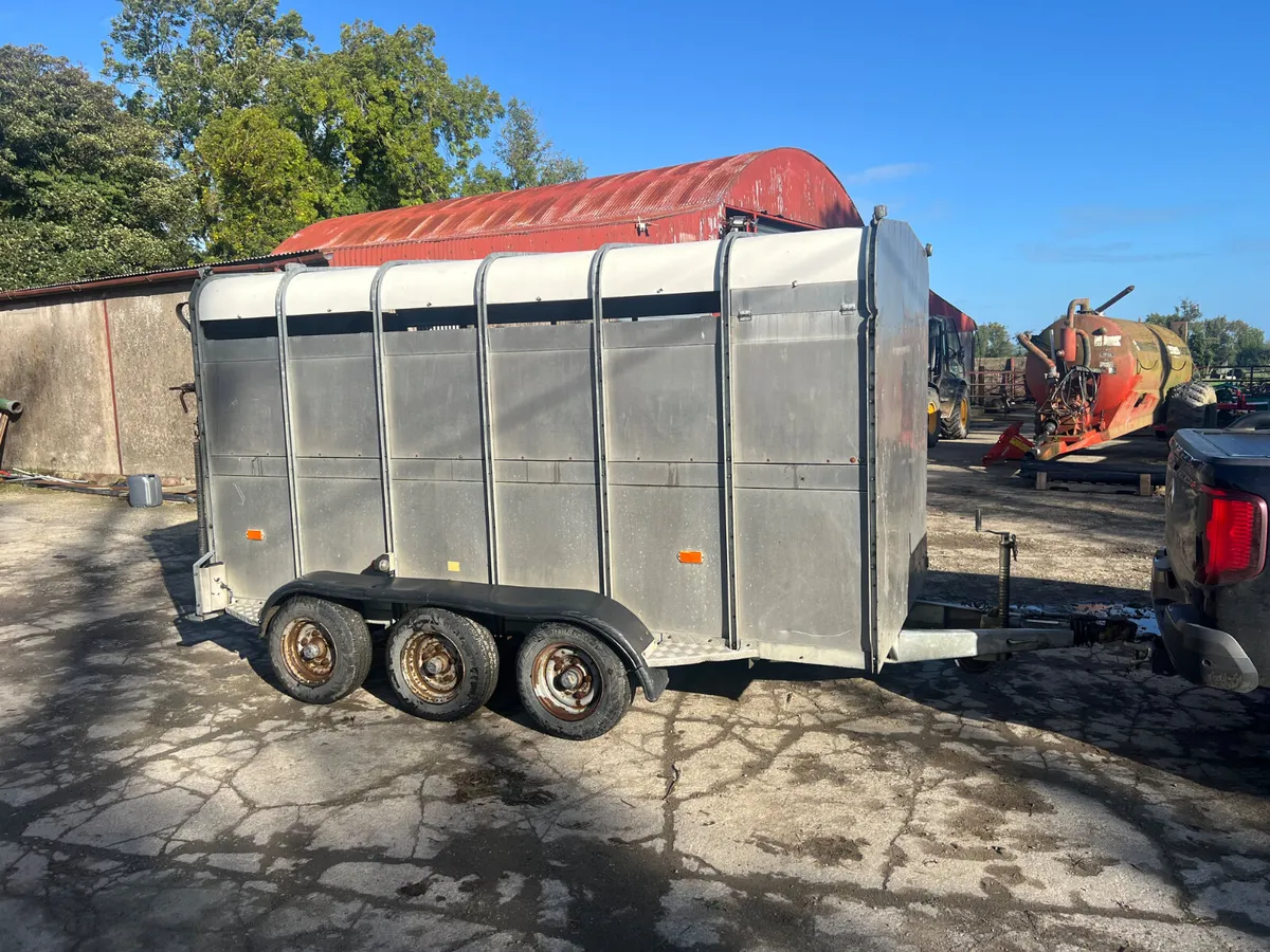 Hudson 12x6 Cattle Trailer - Image 4