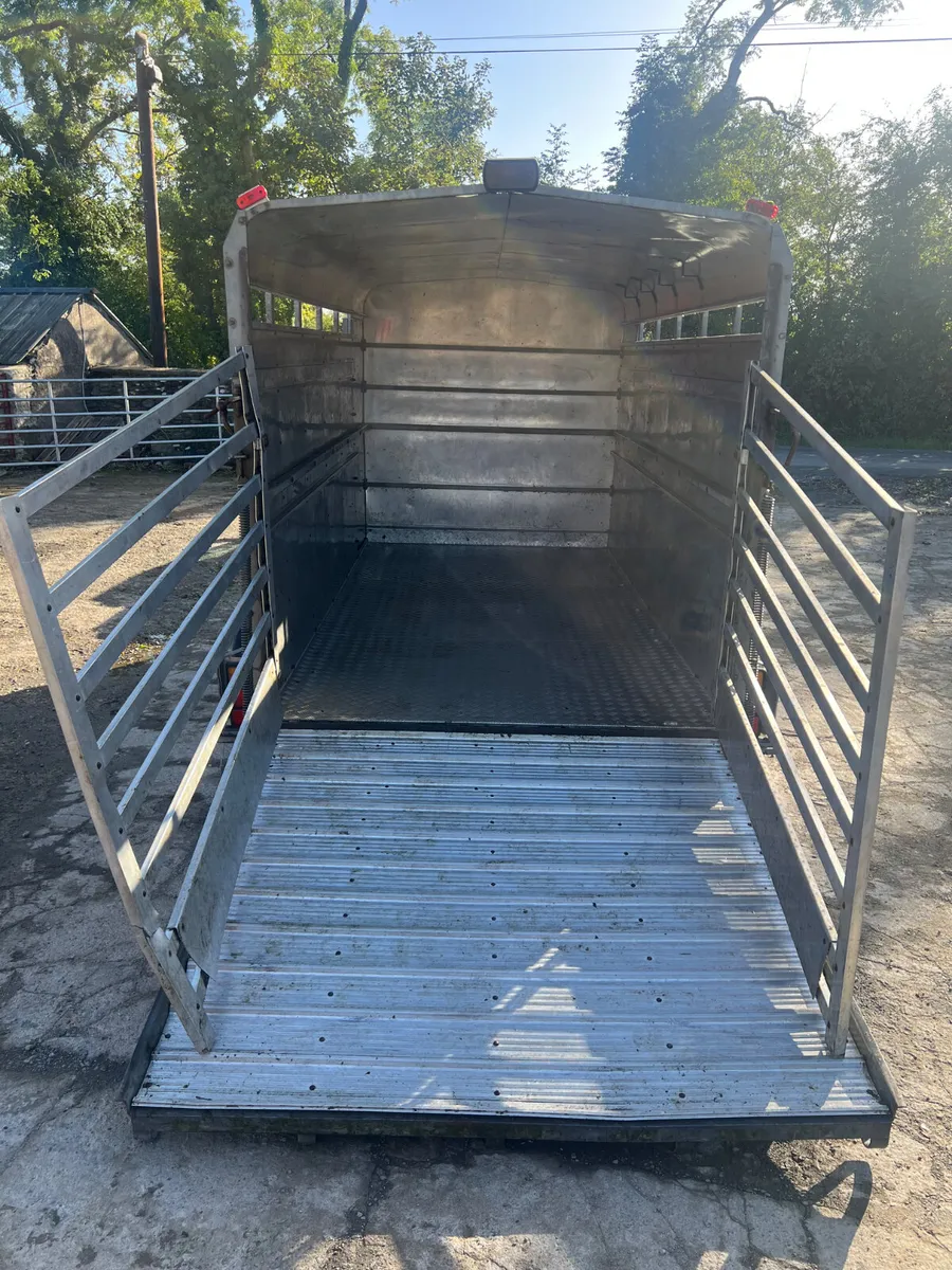 Hudson 12x6 Cattle Trailer - Image 2